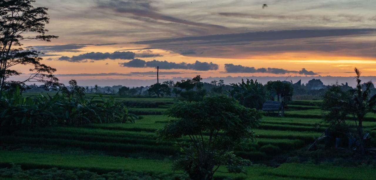 Draper Startup House For Entrepreneurs Hotell Canggu Exteriör bild